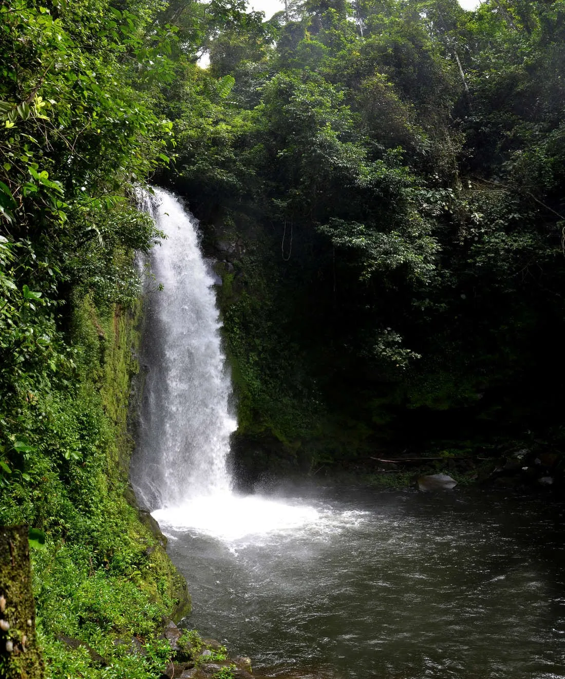 Tour de chocolate + Cataratas, 2