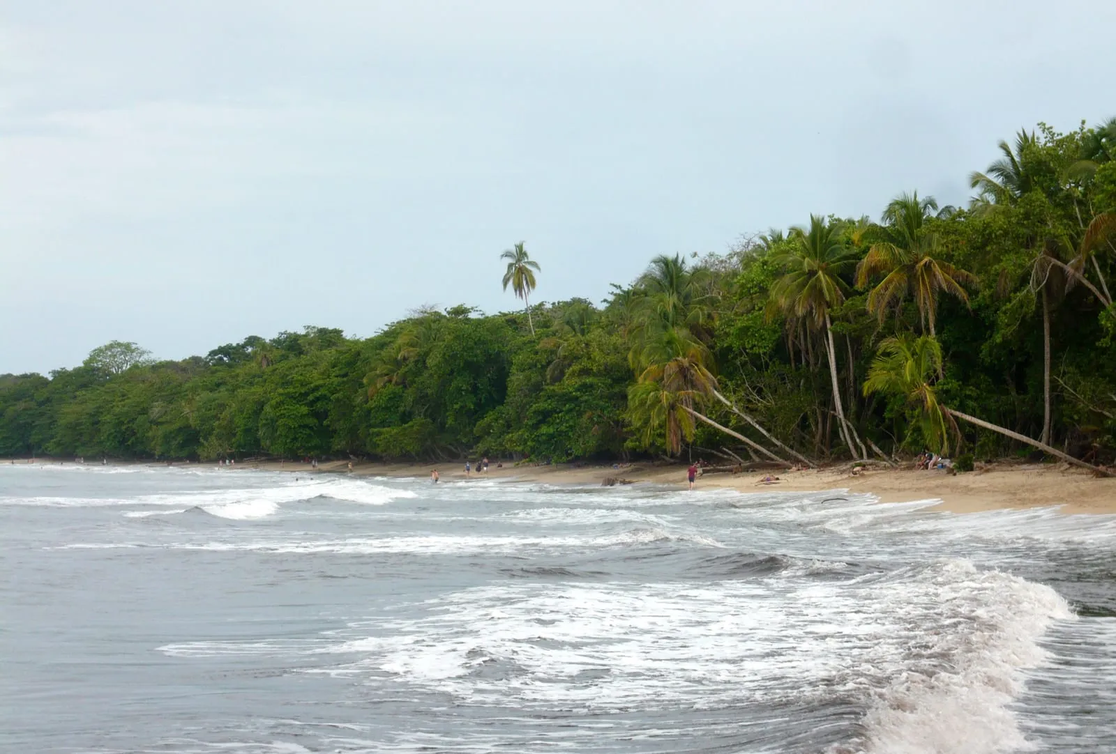 Caminata Parque Nacional Cahuita, 2